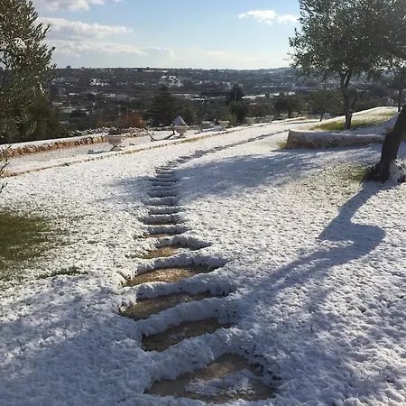 Trulli 住宿加早餐酒店 阿尔贝罗贝洛